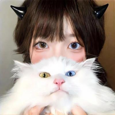 狂野目标 海报