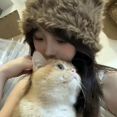 狗的生涯 海报